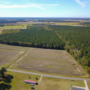 Photo #15 of SOLD property in Off Bryant Farm Road, Tarboro, NC 122.0 acres
