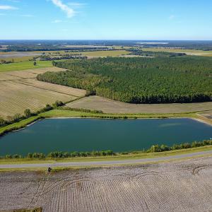 Photo #17 of SOLD property in Off Bryant Farm Road, Tarboro, NC 122.0 acres