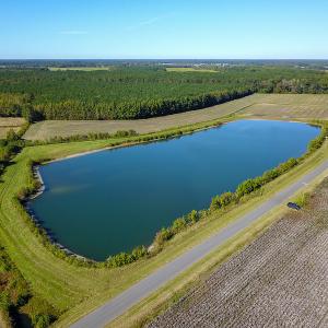 Photo #18 of SOLD property in Off Bryant Farm Road, Tarboro, NC 122.0 acres