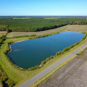 Photo #18 of SOLD property in Off Bryant Farm Road, Tarboro, NC 122.0 acres