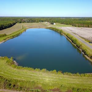 Photo #19 of SOLD property in Off Bryant Farm Road, Tarboro, NC 122.0 acres