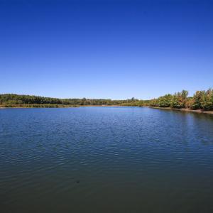 Photo #20 of SOLD property in Off Bryant Farm Road, Tarboro, NC 122.0 acres