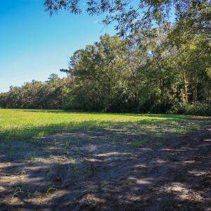 Photo #23 of SOLD property in Off Bryant Farm Road, Tarboro, NC 122.0 acres