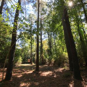 Photo #24 of SOLD property in Off Bryant Farm Road, Tarboro, NC 122.0 acres
