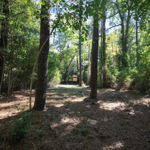 Photo #25 of SOLD property in Off Bryant Farm Road, Tarboro, NC 122.0 acres
