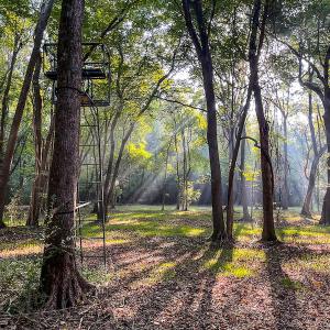Photo #30 of SOLD property in Off Bryant Farm Road, Tarboro, NC 122.0 acres