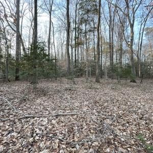 Photo #20 of SOLD property in Off Bethel Church Lane, Smithfield, VA 5.3 acres
