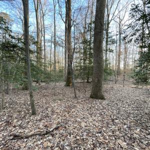Photo #21 of SOLD property in Off Bethel Church Lane, Smithfield, VA 5.3 acres