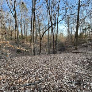Photo #22 of SOLD property in Off Bethel Church Lane, Smithfield, VA 5.3 acres