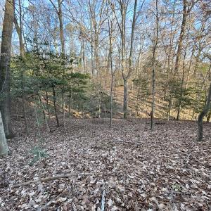 Photo #23 of SOLD property in Off Bethel Church Lane, Smithfield, VA 5.3 acres