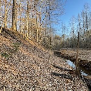 Photo #24 of SOLD property in Off Bethel Church Lane, Smithfield, VA 5.3 acres