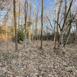 Photo #25 of SOLD property in Off Bethel Church Lane, Smithfield, VA 5.3 acres