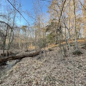 Photo #26 of SOLD property in Off Bethel Church Lane, Smithfield, VA 5.3 acres
