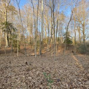Photo #27 of SOLD property in Off Bethel Church Lane, Smithfield, VA 5.3 acres