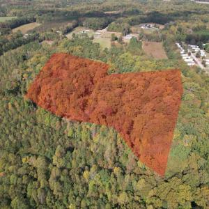 Photo #3 of SOLD property in Off Bethel Church Lane, Smithfield, VA 5.3 acres