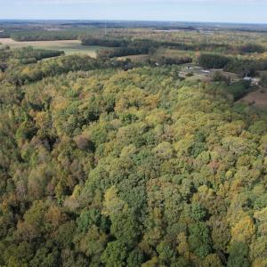 Photo #5 of SOLD property in Off Bethel Church Lane, Smithfield, VA 5.3 acres