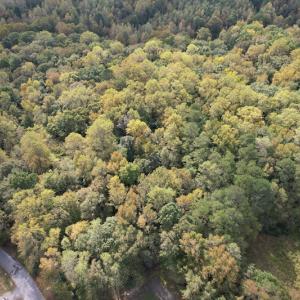 Photo #6 of SOLD property in Off Bethel Church Lane, Smithfield, VA 5.3 acres