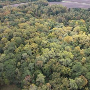 Photo #7 of SOLD property in Off Bethel Church Lane, Smithfield, VA 5.3 acres