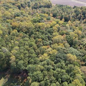Photo #8 of SOLD property in Off Bethel Church Lane, Smithfield, VA 5.3 acres
