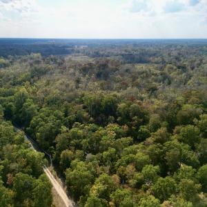 Photo #2 of SOLD property in Lot 8 Off Woodberry Drive, Grimesland, NC 2.6 acres