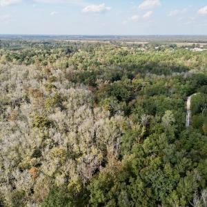 Photo #9 of SOLD property in Lot 8 Off Woodberry Drive, Grimesland, NC 2.6 acres