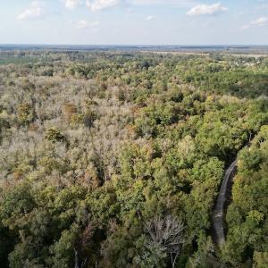 Photo #10 of SOLD property in Lot 8 Off Woodberry Drive, Grimesland, NC 2.6 acres