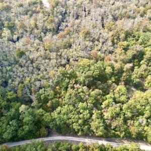Photo #11 of SOLD property in Lot 8 Off Woodberry Drive, Grimesland, NC 2.6 acres