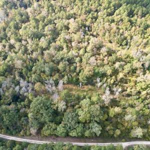 Photo #12 of SOLD property in Lot 8 Off Woodberry Drive, Grimesland, NC 2.6 acres