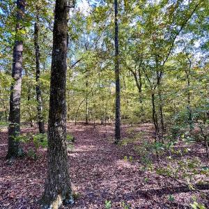 Photo #14 of SOLD property in Lot 8 Off Woodberry Drive, Grimesland, NC 2.6 acres