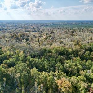 Photo #3 of SOLD property in Lot 8 Off Woodberry Drive, Grimesland, NC 2.6 acres