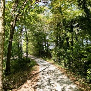 Photo #19 of SOLD property in Lot 8 Off Woodberry Drive, Grimesland, NC 2.6 acres