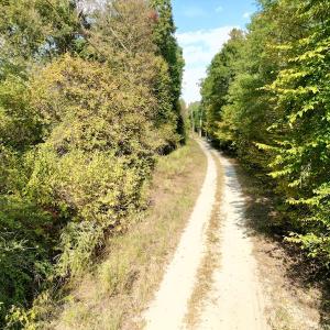 Photo #24 of SOLD property in Lot 8 Off Woodberry Drive, Grimesland, NC 2.6 acres