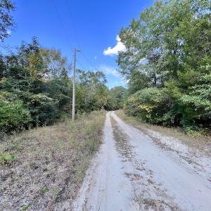 Photo #25 of SOLD property in Lot 8 Off Woodberry Drive, Grimesland, NC 2.6 acres