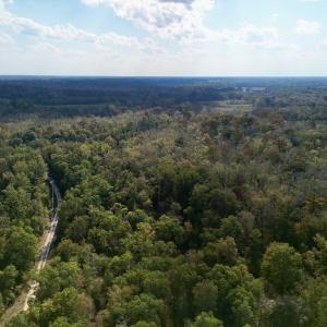 Photo #4 of SOLD property in Lot 8 Off Woodberry Drive, Grimesland, NC 2.6 acres