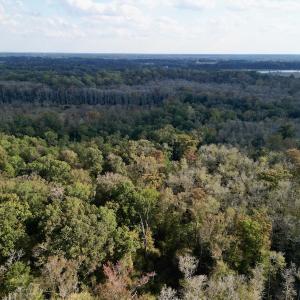 Photo #6 of SOLD property in Lot 8 Off Woodberry Drive, Grimesland, NC 2.6 acres