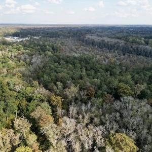Photo #7 of SOLD property in Lot 8 Off Woodberry Drive, Grimesland, NC 2.6 acres