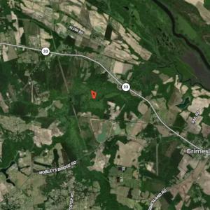 Photo #26 of SOLD property in Lot 8 Off Woodberry Drive, Grimesland, NC 2.6 acres