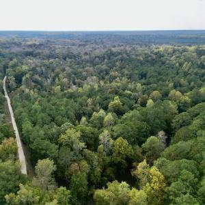 Photo #2 of SOLD property in Lots 2 & 5 Off Woodberry Drive, Grimesland, NC 10.2 acres