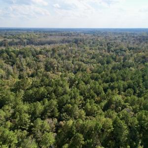 Photo #10 of SOLD property in Lots 2 & 5 Off Woodberry Drive, Grimesland, NC 10.2 acres