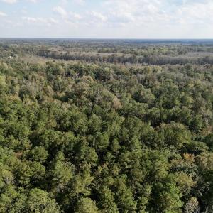 Photo #12 of SOLD property in Lots 2 & 5 Off Woodberry Drive, Grimesland, NC 10.2 acres