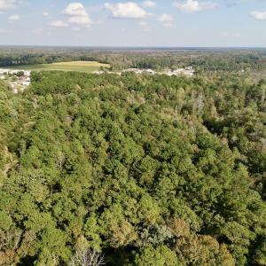 Photo #13 of SOLD property in Lots 2 & 5 Off Woodberry Drive, Grimesland, NC 10.2 acres