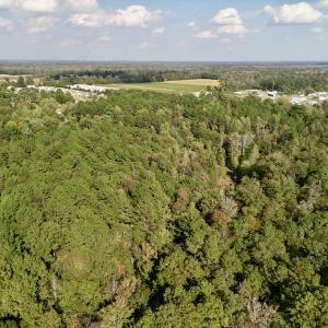 Photo #14 of SOLD property in Lots 2 & 5 Off Woodberry Drive, Grimesland, NC 10.2 acres