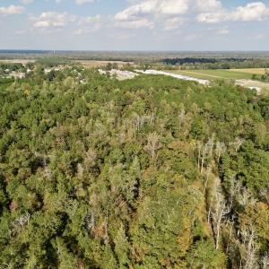 Photo #15 of SOLD property in Lots 2 & 5 Off Woodberry Drive, Grimesland, NC 10.2 acres