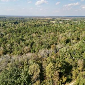 Photo #16 of SOLD property in Lots 2 & 5 Off Woodberry Drive, Grimesland, NC 10.2 acres