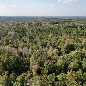 Photo #17 of SOLD property in Lots 2 & 5 Off Woodberry Drive, Grimesland, NC 10.2 acres