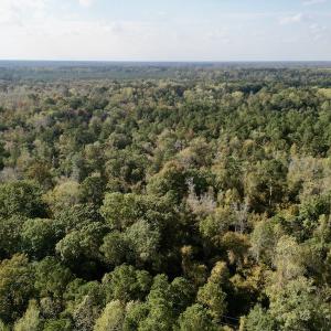 Photo #18 of SOLD property in Lots 2 & 5 Off Woodberry Drive, Grimesland, NC 10.2 acres