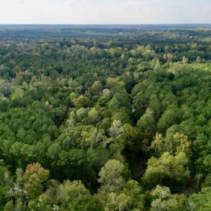 Photo #3 of SOLD property in Lots 2 & 5 Off Woodberry Drive, Grimesland, NC 10.2 acres