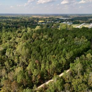 Photo #19 of SOLD property in Lots 2 & 5 Off Woodberry Drive, Grimesland, NC 10.2 acres