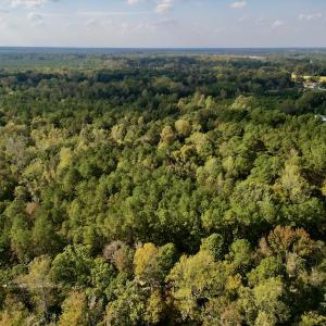 Photo #20 of SOLD property in Lots 2 & 5 Off Woodberry Drive, Grimesland, NC 10.2 acres