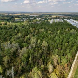 Photo #21 of SOLD property in Lots 2 & 5 Off Woodberry Drive, Grimesland, NC 10.2 acres